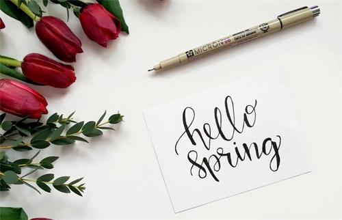 CRA新人初次臨床監查的工作總結(圖1) CRA新人初次臨床監查的工作總結(圖1)