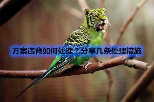 醫(yī)療器械臨床試驗方案違背處理程序 方案違背如何處理?分享幾條處理措施(圖1)