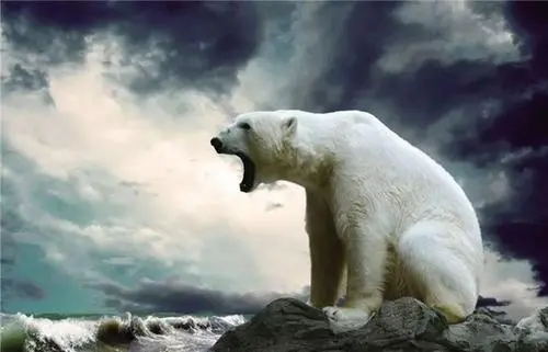 第二類醫療器械生產許可證很難申請嗎?(圖1) 第二類醫療器械生產許可證很難申請嗎?(圖1)