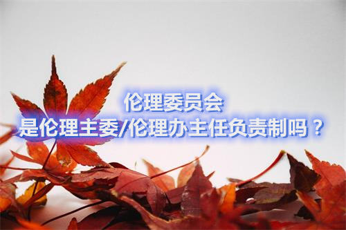 倫理委員會是倫理主委/倫理辦主任負責制嗎?(圖1) 倫理委員會是倫理主委/倫理辦主任負責制嗎?(圖1)