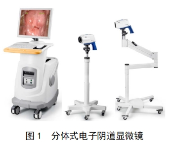 電子陰道顯微鏡注冊技術審查指導原則（2018年第15號）(圖1)