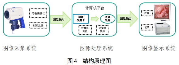 電子陰道顯微鏡注冊技術審查指導原則（2018年第15號）(圖3)