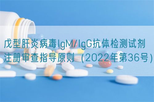 戊型肝炎病毒IgM/IgG抗體檢測試劑注冊審查指導原則（2022年第36號）