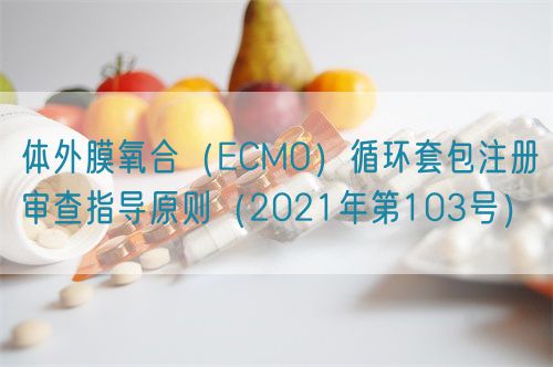 體外膜氧合（ECMO）循環(huán)套包注冊審查指導原則（2021年第103號）(圖1)
