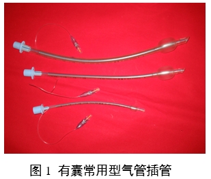 氣管插管產品注冊審查指導原則(2024修訂版)(2024年第21號)(圖1) 氣管插管產品注冊審查指導原則(2024修訂版)(2024年第21號)(圖1)