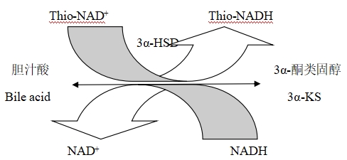 總膽汁酸測定試劑注冊技術審查指導原則（2020年第14號）(圖1)