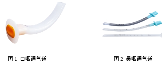 口咽/鼻咽通氣道注冊審查指導原則(2023年第22號)(圖1) 口咽/鼻咽通氣道注冊審查指導原則(2023年第22號)(圖1)