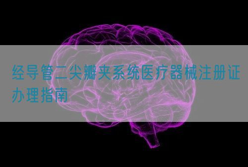 經導管二尖瓣夾系統醫療器械注冊證辦理指南(圖1)