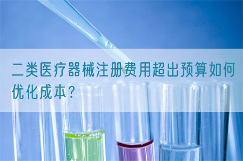 二類醫(yī)療器械注冊費用超出預(yù)算如何優(yōu)化成本？(圖1)