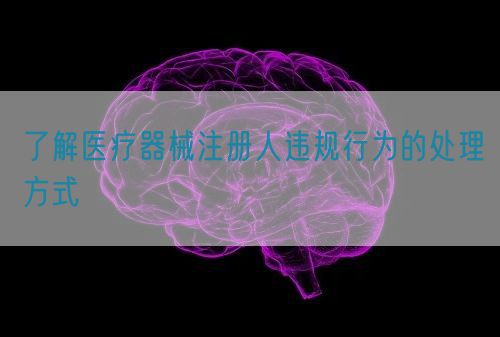 了解醫(yī)療器械注冊(cè)人違規(guī)行為的處理方式(圖1) 了解醫(yī)療器械注冊(cè)人違規(guī)行為的處理方式(圖1)