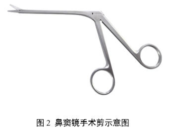 內窺鏡手術用剪注冊審查指導原則(2025年第20號)(圖2) 內窺鏡手術用剪注冊審查指導原則(2025年第20號)(圖2)