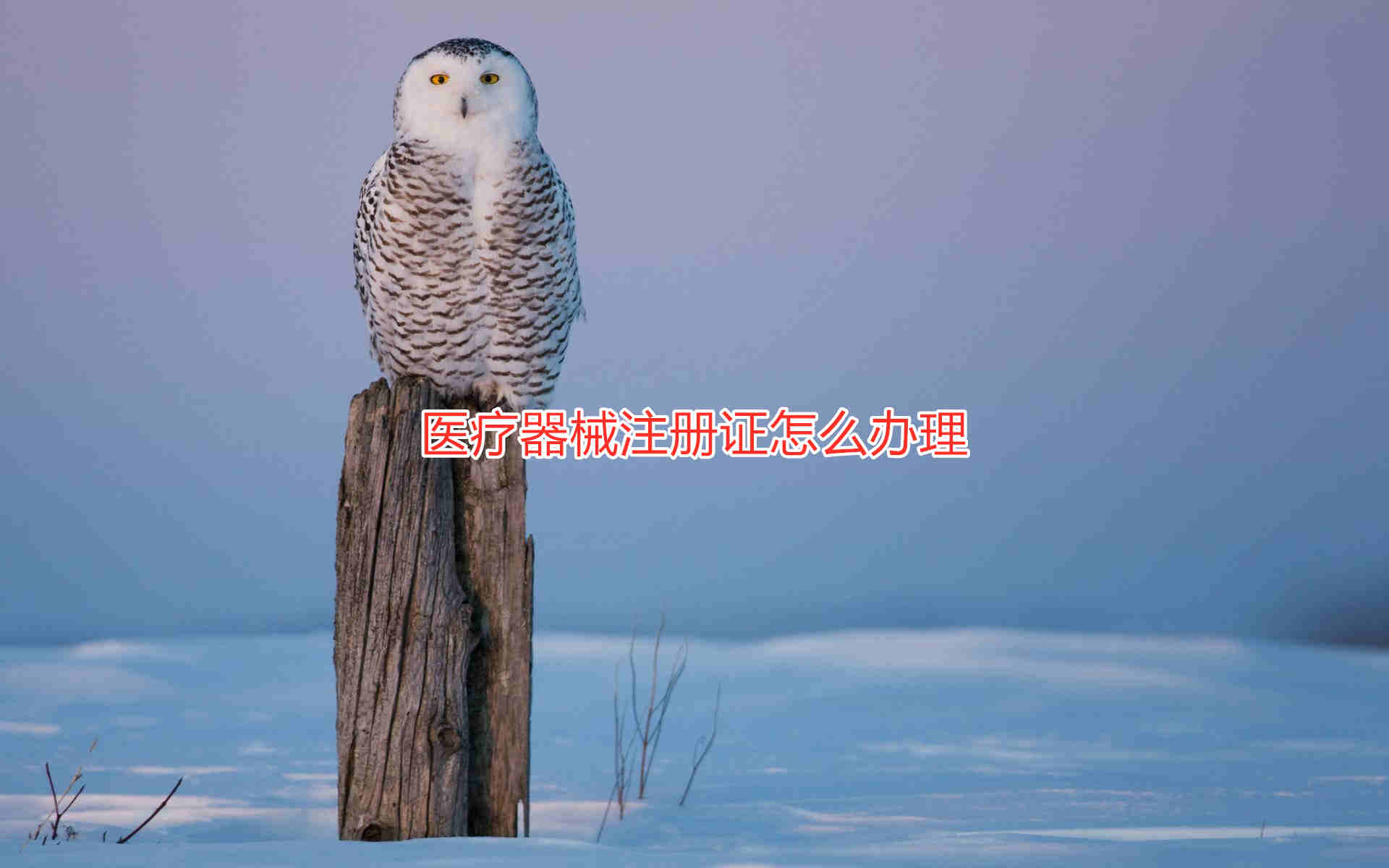 三類醫療器械注冊證辦理流程和周期說明(圖1) 三類醫療器械注冊證辦理流程和周期說明(圖1)