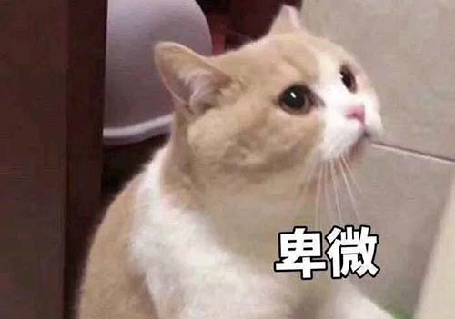 無經驗怎么入行CRA?入行CRA的硬性條件有哪些?(圖3) 無經驗怎么入行CRA?入行CRA的硬性條件有哪些?(圖3)