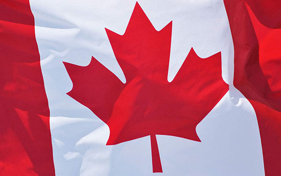 加拿大CMDCAS注冊(cè) 醫(yī)療器械出口歐美日韓澳加要辦什么手續(xù)?(圖4)