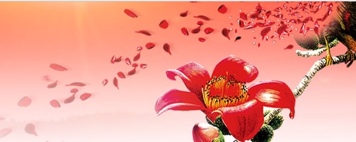 廣東注銷4個產品的醫療器械注冊證（2020年第60號）(圖1)