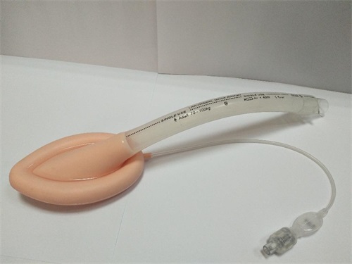 一次性使用醫用喉罩注冊技術審查指導原則（2018年修訂）（2018年第107號）(圖1)