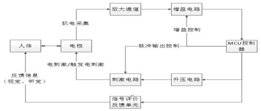 肌電生物反饋治療儀注冊技術審查指導原則(2019年第79號)(圖3) 肌電生物反饋治療儀注冊技術審查指導原則(2019年第79號)(圖3)