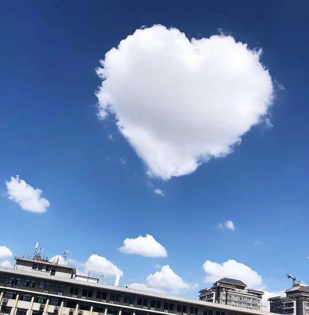 臨床數(shù)據(jù)管理員DM工作崗位介紹(圖3) 臨床數(shù)據(jù)管理員DM工作崗位介紹(圖3)