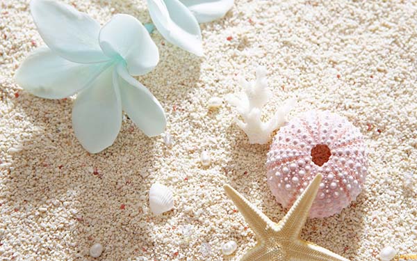 我的醫(yī)療器械CRC工作收獲及感悟(圖3) 我的醫(yī)療器械CRC工作收獲及感悟(圖3)