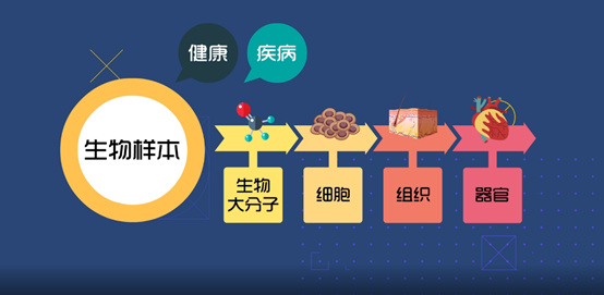 淺談CRC生物樣本管理！生物樣本采集、處理、存儲、運輸全過程注意事項(圖1)