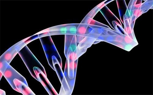 生物相容性是什么意思？怎么判斷醫療器械要做哪些生物相容性測試項目？(圖1)