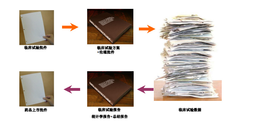 「收藏」臨床試驗啟動會流程【PPT版】(圖4) 「收藏」臨床試驗啟動會流程【PPT版】(圖4)