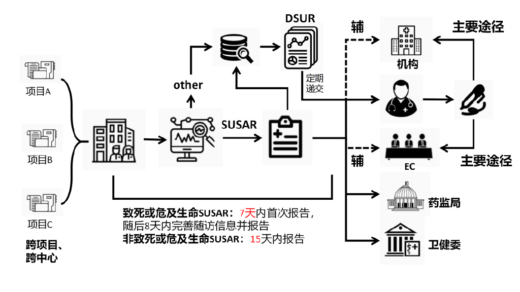 臨床試驗安全性事件如何上報？臨床試驗不良事件上報流程圖(圖3)